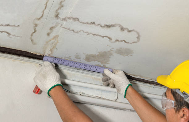Reliable Mold Remediation contractor in Hartsville, IN by Water Damage Irwin